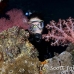 coral_soft_lw_tam_h_0187_bal3784.jpg